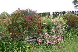 Image: Trevor James © Trevor James 